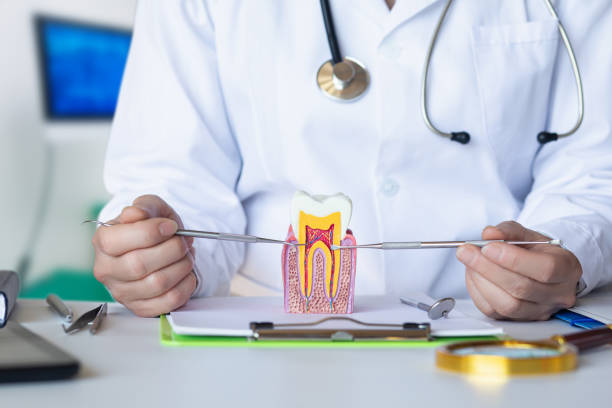 Best Walk-In Emergency Dentist in Woodburn, IN